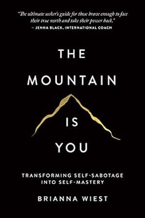 The Mountain Is You: Transforming Self-Sabotage Into Self-Mastery on Amazon.ae - Price Tracker