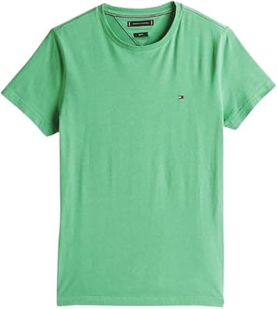 Tommy Hilfiger mens ESS SEASONAL REG FIT SOLID TEE S/S T-Shirt on Amazon.ae - Price Tracker