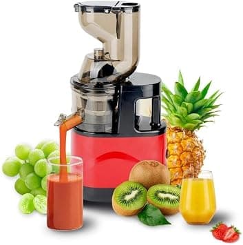 Compact Masticating Cold Press Juicer, Low-Speed, for Fresh Fruit and Vegetable Nutrients على Amazon.ae - متتبع الأسعار