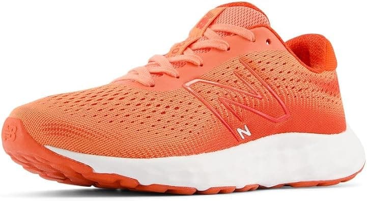 New Balance 520 womens SHOES on Amazon.ae - Price Tracker