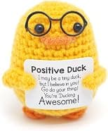 Birthday Gifts for Her Women – Handmade Emotional Cheer Support Positive Inspirational Small Funny Cute Duck Pickle Potato Nuggets Present for Him Men Friend Coworker Birthdays Graduation - Amazon.ae Price Tracker
