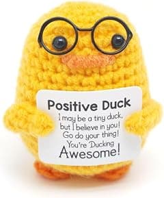 Birthday Gifts for Her Women – Handmade Emotional Cheer Support Positive Inspirational Small Funny Cute Duck Pickle Potato Nuggets Present for Him Men Friend Coworker Birthdays Graduation - Amazon.ae Price Tracker