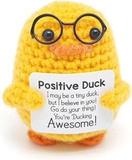 Birthday Gifts for Her Women – Handmade Emotional Cheer Support Positive Inspirational Small Funny Cute Duck Pickle Potato Nuggets Present for Him Men Friend Coworker Birthdays Graduation - Amazon.ae Price Tracker