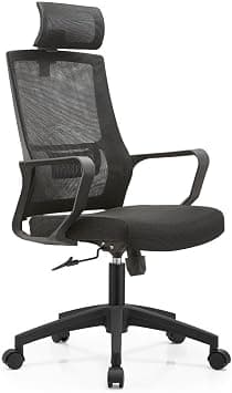 SkyLand Ergonomic High-Back Desk Chair - Breathable Mesh Back with Lumbar Support - Adjustable Headrest, Height and Tilt على Amazon.ae - متتبع الأسعار