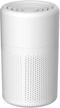 Small Air Purifiers for Home Bedroom,H13 HEPA Personal Desk Mini Air Purifier, 20db Quiet Small Air Filter Cleaner with USB Cable for Bedroom,Dorm,Pets,Smoke,Desktop,Office (White) على Amazon.ae - متتبع الأسعار