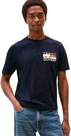 Tommy Hilfiger mens Th Colour Flag Tee Mw0mw40006 S/S T-Shirt (pack of 1) on Amazon.ae - Price Tracker