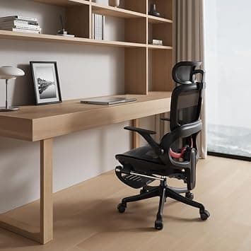 SIHOO B100 Ergonomic Office Chair with Advanced Lumbar Support, 133°Recline & 2D Armrests, High-Elastic Mesh Computer Chair with 2D Headrest, 360°Swivel Task Chair (Black with Footrest) - Amazon.ae Price Tracker
