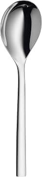 Nuova Serving Spoon 25cm على Amazon.ae - متتبع الأسعار