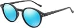 ZENOTTIC Polarized Sunglasses Retro Classic Round Retro Sunglasses UV400 Frame Men Women - Best Deal Finder
