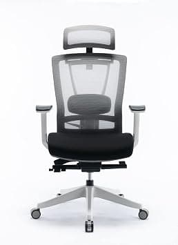 Navodesk HALO Chair Premium Ergonomic Gaming & Office Chair with Multi Adjustable Features and Lumbar Support (Black & White) on Amazon.ae - Price Tracker