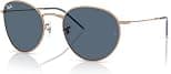 Ray-Ban Unisex Rbr0103s Round Reverse Sunglasses (pack of 1) - Best Deal Finder