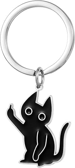 Cute Cat Duck Keychain Funny Gifts for Women Men Cute Keychains for Women Cool Cat Duck Stuff Car Keyrings Friendship Gift - Amazon.ae Price Tracker