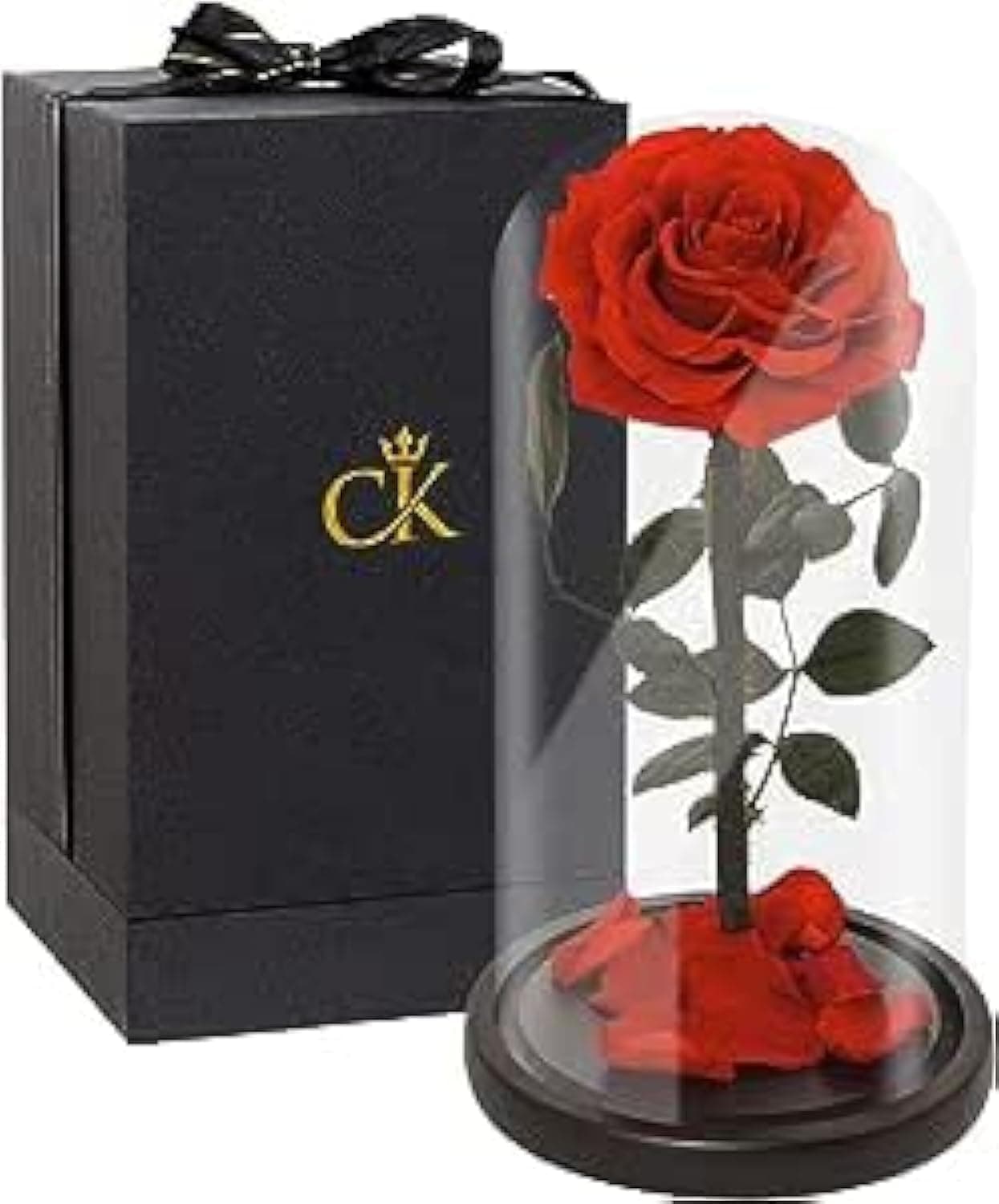Timeless Beauty: Forever Rose in Glass Dome- Perfect Birthday Gifts for Women & Mother's Day Gift, a Gift of Love for Birthdays and Special Occasions on Amazon.ae - Price Tracker