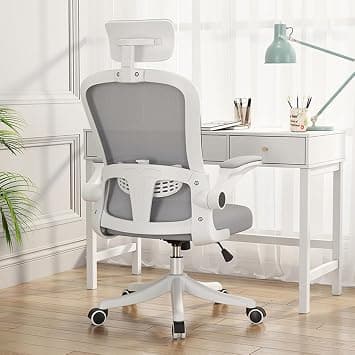 Ergonomic Office Chair with Lumbar Support & Headrest & Flip-up Arms Height Adjustable Rocking Home Office Desk Chairs for Teens and Adults (Grey Mesh) on Amazon.ae - Price Tracker