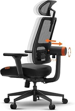 DROGO Ergonomic Office Chair for Work from Home, High Back Computer Chair with Adaptive Lumbar Support, 4D Armrest, Recline, Adjustable Height & Headrest, Mesh Chair for Office/Home (Black) on Amazon.ae - Price Tracker