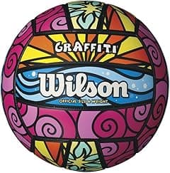 Wilson Graffiti Volleyball - Amazon.ae Price Tracker