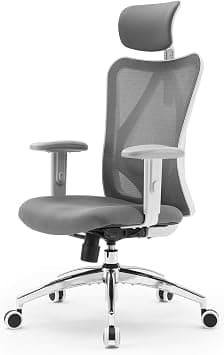 SIHOO - M18 Ergonomic Office Chair - Computer Office Chair with Adjustable Headrest and Lumbar Support - High Back, Swivel Steering - Dark Grey - Amazon.ae Price Tracker