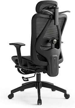 LIWEGHT Ergonomic Office Chair Breathable 3D Armrest (Black) on Amazon.ae - Price Tracker