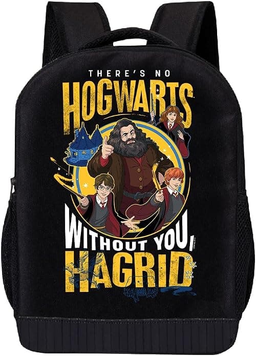 Harry Potter Backpack for School | Kids Travel Backpack School Backpack | Kids Backpack for Boys, Girls, Toddlers Unisex on Amazon.ae - Price Tracker