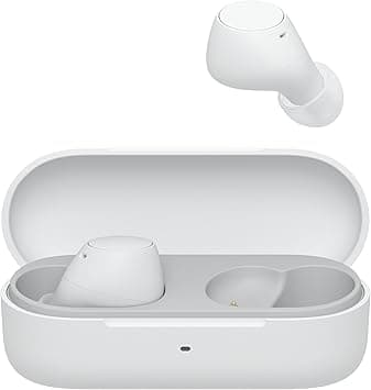 Sony WFC510 | True Wireless Headphones - Small and Lightweight, Multipoint Bluetooth Connection, Ambient Sound, IPX4 Rating, Spotify Tap, Quick Charge, 22-Hour Battery, iOS and Android - White - Amazon.ae Price Tracker