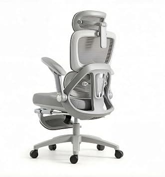 LIWEGHT Ergonomic Office Chair Breathable 4D Armrest(Gray) على Amazon.ae - متتبع الأسعار
