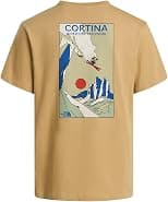 The North Face Mens M MOUNTAIN CELEBRATION REGULAR SHORT SLEEVE TEE-GRAPHIC T-Shirts (pack of 1) - Best Deal Finder