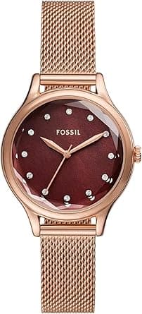 Fossil Laney Three-Hand Stainless Steel Mesh Wrist Watch for Women, Red/Rose Gold on Amazon.ae - Price Tracker