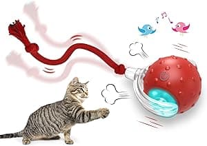 Interactive Cat Toys Ball, Automatic Cat Interactive Toy for Indoor Cats Fast Rolling on Carpet, Chirping & Motion Activate - Amazon.ae Price Tracker