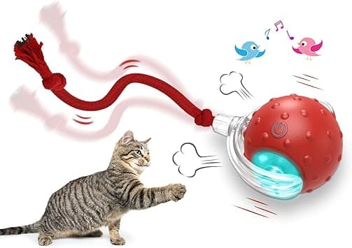 Interactive Cat Toys Ball, Automatic Cat Interactive Toy for Indoor Cats Fast Rolling on Carpet, Chirping & Motion Activate - Amazon.ae Price Tracker