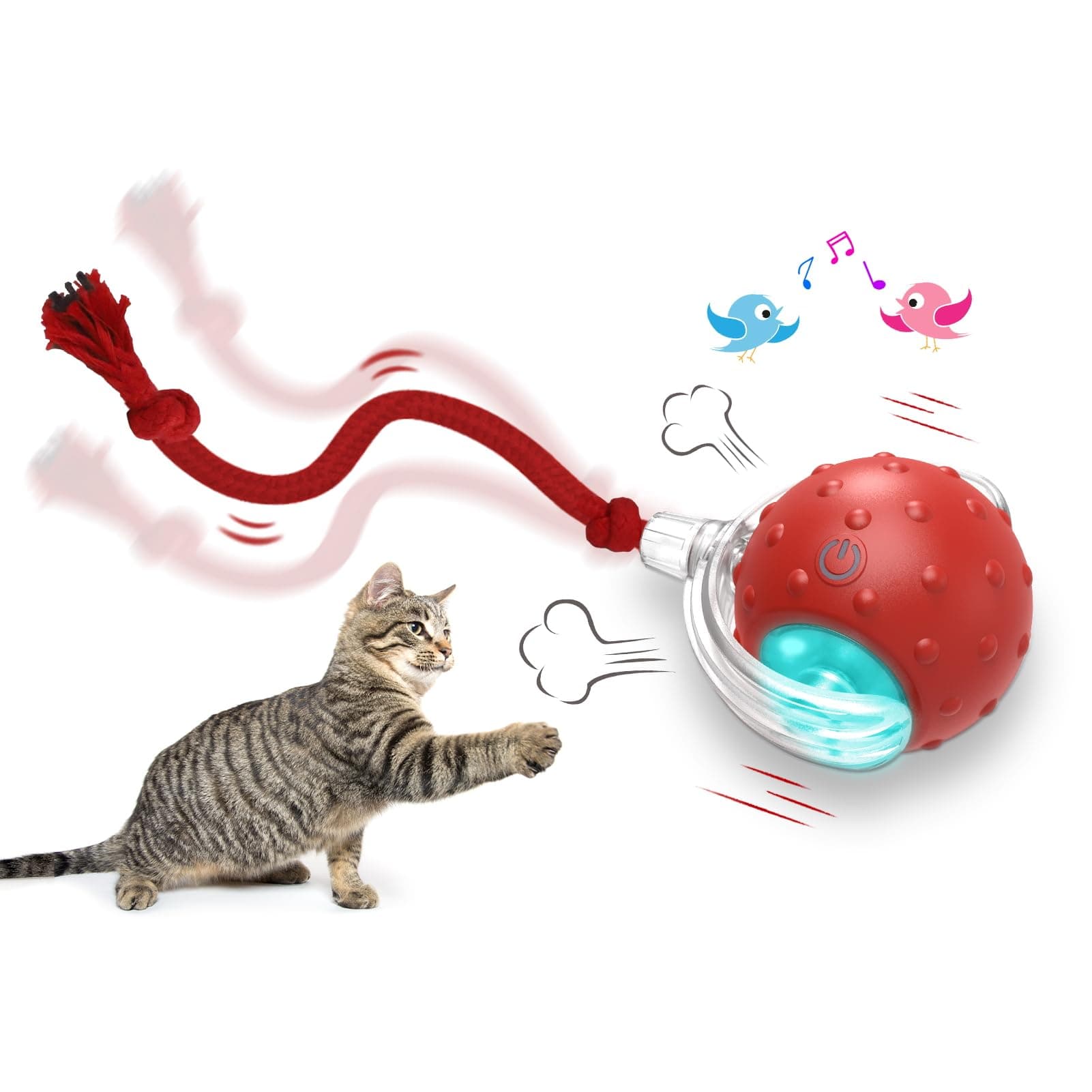 Giociv Interactive Cat Toys Ball, Automatic Cat Interactive Toy for Indoor Cats Fast Rolling on Carpet, Chirping & Motion Activate on Amazon.ae - Price Tracker