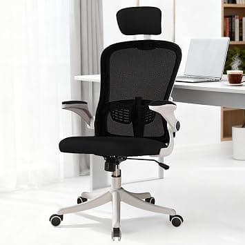 Ergonomic Mesh Office Desk Chair with Adjustable Height, Flip-Up Armrests & Lumbar Support, Breathable Swivel Computer Chair for Home Office or Study (Black) on Amazon.ae - Price Tracker