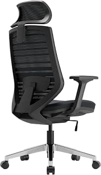 Home Office Chair High Back Black or White Frame Ergonomic Mesh Chair,Comfortable Gaming Chair,Spirit Series 2D Armrest, Adjustable Headrest, Lumbar Support and Comfortable Cushion… (Black Frame) on Amazon.ae - Price Tracker