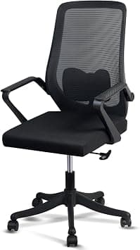 SKY-TOUCH Ergonomic Office Chair | Desk Chair | Computer Chair | Lumbar Support | Height Adjustable | Large Space Padded Seat Cushion|with Tilt Back|Mesh Breathable Backrest|60 * 57 * 111cm,Black on Amazon.ae - Price Tracker