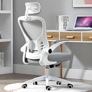 Ergonomic Office Chair Desk Chair with Adjustable Headrest Backrest Armrest, Home Mesh Rolling Work Chairs with Wheels Lumbar Support, Comfy Flip-up Arms for Home Bedroom Study(Grey Mesh) on Amazon.ae - Price Tracker