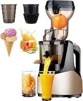 Electric Low Speed Juicer-Cold Press, Stainless Steel Low Speed Auger Fruit Vegetable Extractor Squeezer, Juice Yield: 90%, Create Fresh Ice Cream/Juice/Vegetable Juice,champagne on Amazon.ae - Price Tracker