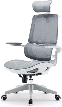 SIHOO M59AS-M101 Ergonomic Office Chair, Breathable Mesh Desk Chair with Dual Back Design, Clothes Rack and Flip-up Arms, Swivel Task Chair, Adjustable Height Gaming Chair(Grey) on Amazon.ae - Price Tracker