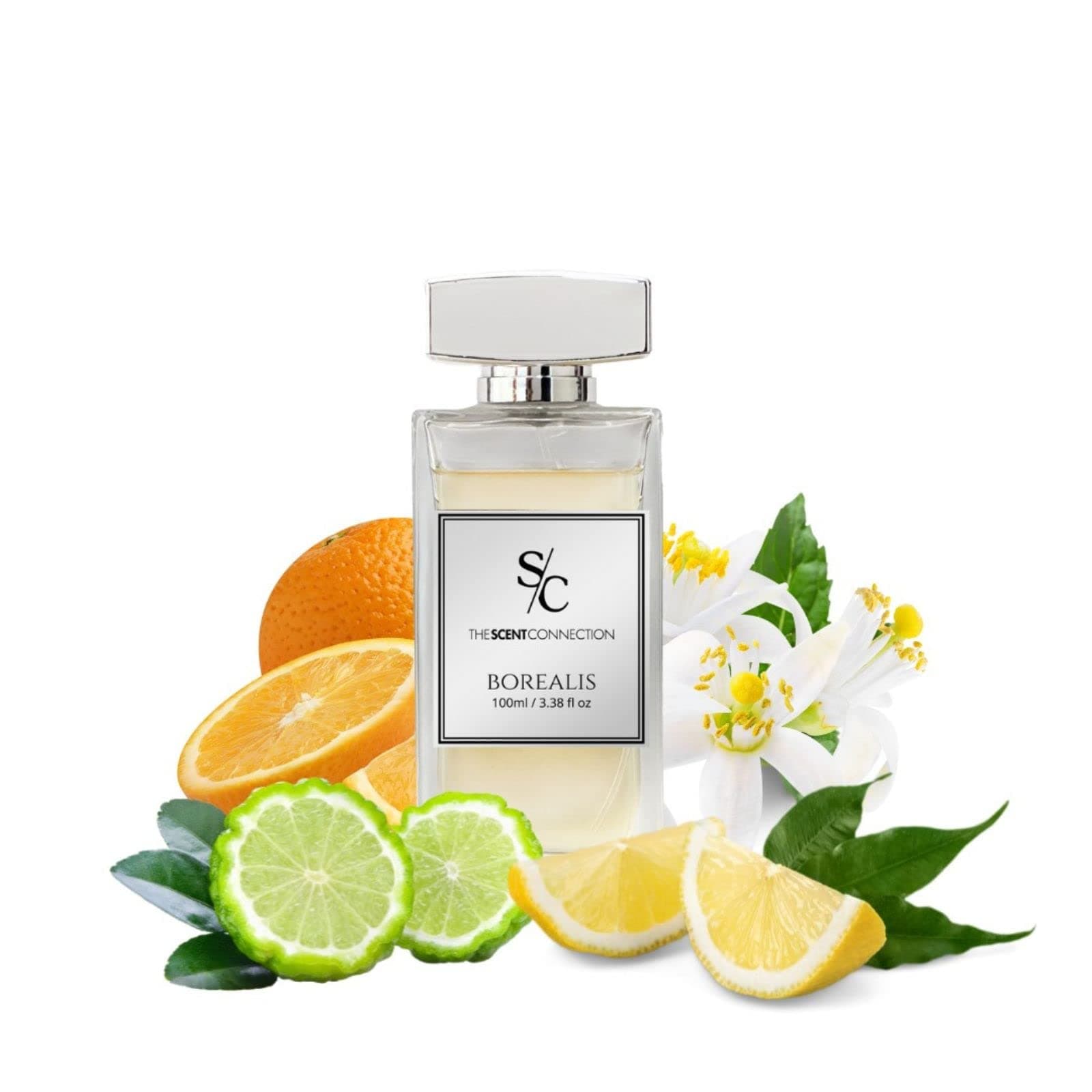 THE SCENT CONNECTION Borealis EAU DE PARFUM - FOR MEN, sporty fragrance, Best perfume, Amazing fragrance. on Amazon.ae - Price Tracker