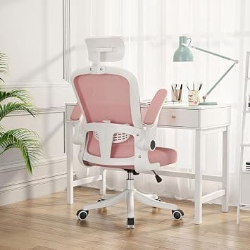 Ergonomic Office Chair with Lumbar Support & Headrest & Flip-up Arms Height Adjustable Rocking Home Office Desk Chairs for Teens and Adults (Pink Mesh) on Amazon.ae - Price Tracker