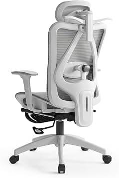 LIWEGHT Ergonomic Office Chair Breathable 3D Armrest (Gray) on Amazon.ae - Price Tracker