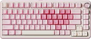 YUNZII B75 PRO Wireless Mechanical Keyboard,75% Gaming Keyboard Gasket Hot Swap Custom Keyboard with Knob,Pre-lubed Switches RGB,Bluetooth/Type-C/2.4G (Pink, Cocoa Cream V2 Switch) on Amazon.ae - Price Tracker