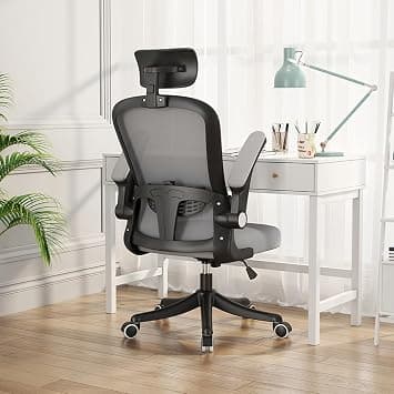Ergonomic Office Chair with Lumbar Support & Headrest & Flip-up Arms Height Adjustable Rocking Home Office Desk Chairs for Teens and Adults (Black&Grey Mesh) on Amazon.ae - Price Tracker