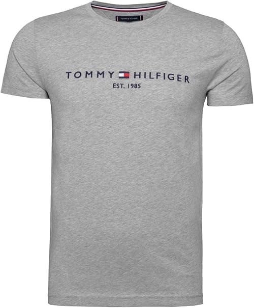 Tommy Hilfiger Mens Core Tommy Flag Logo Tee T-Shirt on Amazon.ae - Price Tracker