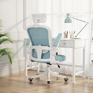 Ergonomic Office Chair with Lumbar Support & Headrest & Flip-up Arms Height Adjustable Rocking Home Office Desk Chairs for Teens and Adults (Blue Mesh) on Amazon.ae - Price Tracker