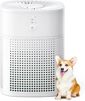 Air Purifier for Bedroom Rooms, Air Purifier for Allergies with Aromatherapy, HEPA Air Filter for 99.97% Mold, Dust, Pollen, Pet Hair, 24dB, White, 1 Pack+3 Modes على Amazon.ae - متتبع الأسعار