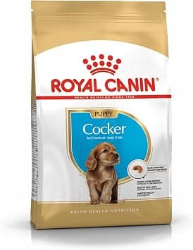 Royal Canin Bhn Cocker Puppy 3 Kg Breed Health Nutrition Dog Food, Multicolor, 6656509, Cocker Puppy Dog Dry Food - متتبع أسعار Amazon.sa