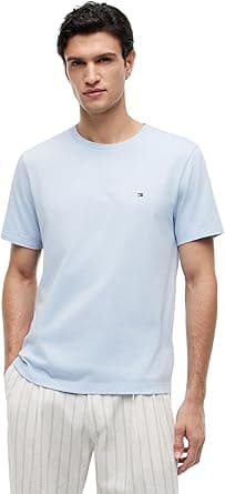 Tommy Hilfiger mens ESS SEASONAL REG FIT SOLID TEE S/S T-Shirt on Amazon.ae - Price Tracker