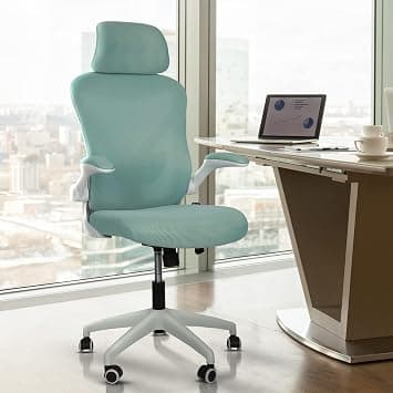 Drogo Ergonomic Office Chair for Work with SGS Class-3 Gas Lift, Breathable Korean Mesh, Adjustable Armrests, Lumbar Support,Computer Chair for Home or Office, Desk Chair (Green) on Amazon.ae - Price Tracker