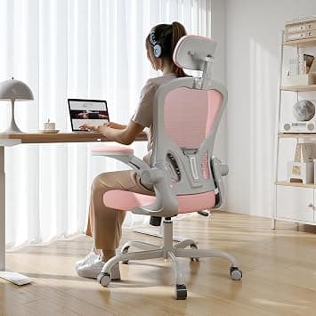 Office Chair Ergonomic Desk Chair, 330LBS Capacity, High Back Computer Chair for Long Hours Comfortable, Rolling Swivel Executive Task Chair for Home Office with Flip-up Armrests(Grey Pink) on Amazon.ae - Price Tracker