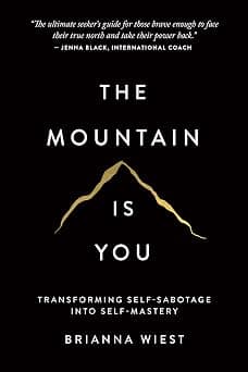 The Mountain Is You: Transforming Self-Sabotage Into Self-Mastery - Best Deal Finder