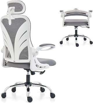 HOLLUDLE Office Chair with Folding Backrest, Ergonomic Computer Chair with 2D Headrest, Folding Armrests and Mesh Lumbar Support Office Seat, White on Amazon.ae - Price Tracker